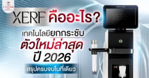 XERF คืออะไร? เทคโนโลยียกกระชับชั้นลึกที่ให้ผลคมชัดในครั้งเดียว