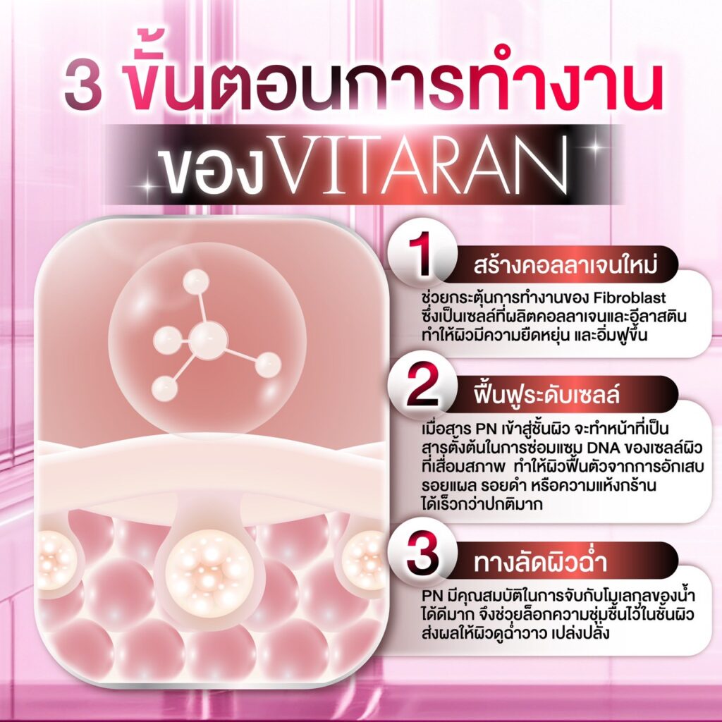 โปรแกรม Vitaran มีขั้นตอนการการทำงานยังไง